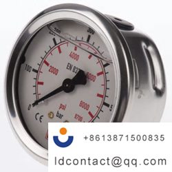 9314204_WIKA Stainless Steel Pointe